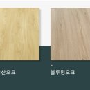 마루봄 이미지