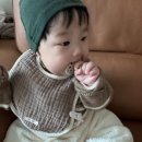 호테리코 | 리뗀클로르 내돈내산 구매후기 거즈빕 빨대컵 이유식 실리콘턱받이 흡착볼 수면조끼
