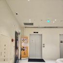 노원역(7호선) | 내돈내산 7호선 노원역 이런저런 피부 시술 후기