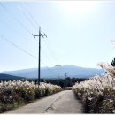 재천본가 이미지