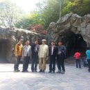 무봉농장 이미지