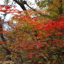 설악산 <한계령-대청봉> 단풍과 속초앞바다 환상의 운해 이미지