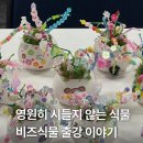 비즈미디어 | 천안시 영상미디어센터 시네마체험 프로그램 부모님과...클래스 비즈식물 만들기 출강 후기 🪴🩵천안 단체...