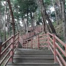 입화산참살이숲 이미지