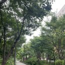숲길 이미지