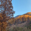 1340 | 오지산행후기(1340차) 가평 뽕상황(2) 2025.11.12(수)