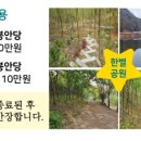 별이머무는곳 네이버블로그