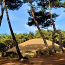 선덕여왕릉 화장실 이미지