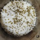 동성식품 | “한국인은 밥심!” 백미 맛 그대로 '동성제약 당박사 크롬쌀' 섭취 후기