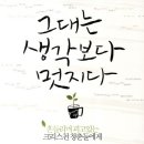 그대는 생각보다 멋지다/황은우/터치북스/2011/325면/13,000원 이미지