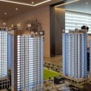 메이플(생활형) 이미지