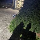 이화수전통육개장 아산둔포점 | 얼렁뚱땅 일상&amp;여행?