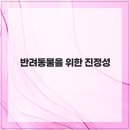 엉클장동물병원 이미지