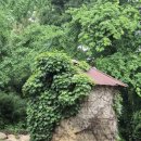 신경섭가옥 공중화장실 이미지