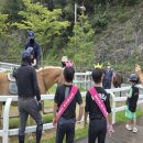 아라가야 이미지