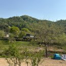 비치마루펜션 | 양평 대가족 독채펜션 수빌리지 추천(애견동반,유아수영장,노래방,바베큐)