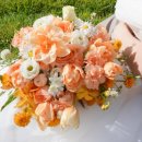 도매샾 | W. 제주도 웨딩스냅 정리