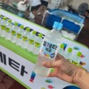 31140-14-42-6 | 토레타! 2026 한강나이트워크42K 후기 여름 이온보충 제대로함