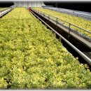 청화농장 이미지