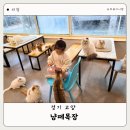 냥떼목장 | 일산 아이랑 갈만한곳 일산 고양이카페 냥떼목장 다녀온후기