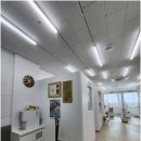 레푸스 호매실점 이미지