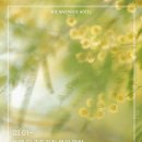 더봄호텔 이미지