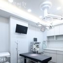 포포동물병원 이미지