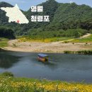 강원특별자치도 영월군 장애인문화복지센터 | 깅원도 영월 가볼만한곳 청령포 단종 유배지와 소나무 숲 산책로