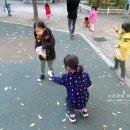 염경초등학교병설유치원 이미지