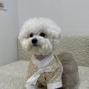 블클레르 이미지