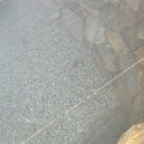 세류1리 이미지