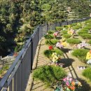 무궁화공원 이미지