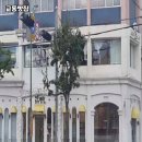 교동빵집 - 동해시 효자남길 26-1 | 교동빵집