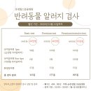 문정힐스 동물병원 | 🐶🐱 강아지,고양이 알러지 검사 할인 프로모션🧡 [문정힐스동물병원]