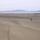 갯벌의 추억 이미지