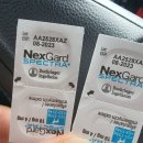 대전본동물병원 이미지