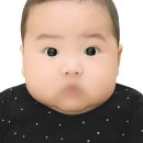 신*복 - 안양시 동안구 비산로 22 | 경남 양산 아기 백일사진 출장스냅 어서와복이와 대표 복작가님 후기