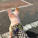 개스트살롱 이미지