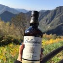 동강전망휴양림오토캠핑장 이미지