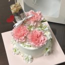 (주)다감 | 연습생 생활 2달과 워크샵 후기로 돌아온 메이