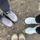 선운산 관광안내소 이미지