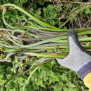 금당목장 이미지