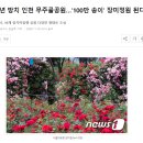 연수구 장미공원 앞 이미지