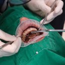 가온의원 이미지