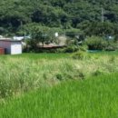 오비초등학교병설유치원 이미지