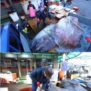 죽도어시장 이미지