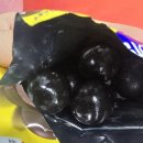 경륜운영본부 시흥지점 - 105091 | 종근당 코어틴 초코볼_맛후기