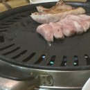 붐비어 이미지