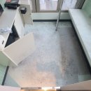 악쓰는하마 이미지