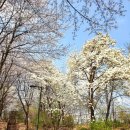 하늘숲초등학교 이미지